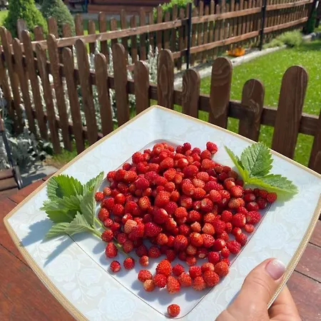 Gospodarstwo wiejskie зелена над рікою