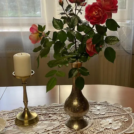 зелена над рікою *